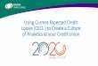 Using Current Expected Credit Losses (CECL ) to Create a ...€¦ · He started his career as a financial statement auditor and has experience in audits, compilations and reviews