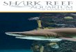 The Shark Reef - 2017-08-08¢  The Shark Reef Shark Reef aquarium is the home of over 2,000 animals including