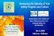 Measuring the Maturity of Your Safety Program and Culture · Measuring the Maturity of Your Safety Program and Culture Cynthia Braun, CSP, CHMM, CIT ... Key elements of a HSMS 3