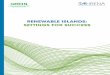 Renewable islands: Settings for success - International Renewable Energy … · 2017-08-08 · renewable energy on an island results from a realisation by its people, its utilities