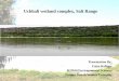 Uchhali wetland complex, Salt Range · 2016-05-19 · Wetland Pakistan is blessed with about 225 significant man-made and natural wetlands. (Ahmad & Ishaque, 2011). Pakistan has wetlands