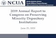 2019 Annual Report to Congress on Preserving Minority ... · Reform, Recovery, and Enforcement Act of 1989 and Section 367 of the Dodd-Frank Wall Street Reform and Consumer Protection