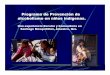 Programa de Prevención de alcoholismo en niños indígenas.€¦ · •Compromete a los agentes sociales de la comunidad a un cambio ante las adicciones Naturaleza del programa