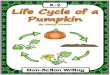 By Nancy Alvarez · Print a copy of each page and staple in order. Ask students to color and label the pictures. Using the vocabulary for the life cycle of a pumpkin ask students