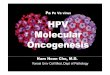 Pa Po Va virus HPV Molecular Oncogenesis · •• Viral genome integration into cellular DNA. •• Loss of E2 leads to increased E6/E7 expression CIN1 CIN2 CIN3 VS •• In cervical