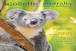 australiai.gocollette.com/brochures/2015_2016/Collette/CA/15... · Welcome to the world’s southernmost capital. This exotic locale boasts a thriving arts scene and café culture