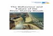 The Behaviour and Future of the River Murray Mouth Feb 2002 · The flow data used in this study were supplied quickly and efficiently by Mr Andy Close of the Murray-Darling Basin