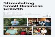 Stimulating Small Business Growth - Goldman Sachs · This second report on Goldman Sachs 10,000 Small Businesses summarizes the progress of approximately 2,300 small business owners