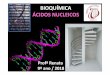 BIOQUÍMICA ÁCIDOS NUCLEICOS · ÁCIDOS NUCLEICOS -DNA e RNA Compostos orgânicos responsáveis pelas funções de: - Comando da síntese proteica nas células. - Síntese de RNA