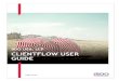 BDO USA, LLP CLIENTFLOW USER GUIDE · BDO CLIENTFLOW USER GUIDE 2 INTRODUCTION This User Guide is designed for clients who will be using BDO ClientFlow. BDO ClientFlow is a solution
