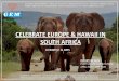 CELEBRATE EUROPE & HAWAII IN SOUTH AFRICA... · First Ever South Africa package Covering Most Beautiful Places Places Covered: Port Elizabeth, Plettenberg Bay ,Tsitsikama National