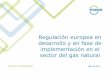 Regulación europea en desarrollo y en fase de ...€¦ · Circular 1/2013, de 18 de diciembre, de la CNMC, por la que se establecen los mecanismos de gestión de congestiones a aplicar