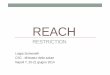 REACH 2013_2014/IlregolamentoReachSci… · 1.nella ricerca scientifica e sviluppo, 2. in PPORD (processi e prodotti orientati alla ricerca e allo sviluppo), i quantitativi esentati