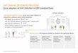 SAP S/4HANA MOVEMENT PROGRAM Drive …...and adopt industry best practices and innovative technologies Accelerate implementation for faster time-to-value Continuous innovation adoption