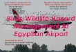 Cairo Airport Company(CAC) Birds and Wildlife …...Prof.M Abd Elhakim Vet : Eman Ahmed Presented By: ECAA EgyptianCivil Aviation Authority E.Nour Elhoda Mahmoud M. Baron Palace Time