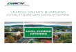 LEHIGH VALLEY BUSINESS COALITION ON HEALTHCARE - LVBCH · LEVEL - FUNDED OFFERING. 3 TRANSFORMING HEALTHCARE It all began in 1980, when a few forward-thinking local business leaders