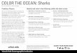 COLOR THE OCEAN: Sharks · 2019-01-23 · These sharks swim around slowly, feeding off tiny organisms called krill. They are also the largest fish on earth! Atlantic Herring or Clupea
