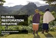 GLOBAL RESTORATION INITIATIVE - United Nations · Water Energy Climate Finance Economics Business Food ... with Global Forest Watch for avoided deforestation? 18 Remote sensing On-the-ground