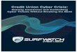 Credit Union Cyber Crisis - CU Today...information being traded on the Dark Web every day. !! SurfWatch Labs scours the Dark Web daily for stolen payment cards, customer information,