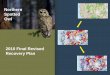 Northern Spotted Owl - WA - DNR · 2020-05-28 · Owl 2010 Final Revised Recovery Plan . Northern Spotted Owl Revised Recovery Plan Overview: 1. Status of the Owl 2. Key RP Recommendations