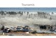 Tsunamis - mnortonhistory.weebly.com · Tsunamis are barely felt as a ripple on the ocean surface, but as the wave reaches land, they increase in size as the water becomes shal- lower