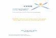 CEER report on barriers for gas storage product development · and compete on a level playing field with other sources of flexibility. However, CEER does not have a strong evidence