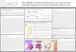 MicroRNAs in maternal plasma for the non ... - Fetal Medicine · MicroRNAs in maternal plasma for the non-invasive prenatal diagnosis of Down syndrome (Trisomy 21) Julian Kamhieh-Milz1,2,