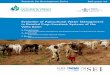 Evolution of Agricultural Water Management in Rainfed Crop ... · Research for Development Series R4D paper 04 Evolution of Agricultural Water Management in Rainfed Crop-Livestock