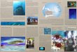 Pacific Region Brochure draft - Microsoft · This brochure will highlight several regional programs (mapping, maritime archaeology) and several important partnerships that we hope