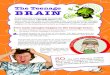 The Teenage BRAIN - Staffordshire · 2019-10-29 · The Teenage BRAIN Two main changes happen in the teenage brain: Growth of fatty insulation around the brain connections. This increases
