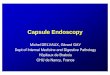Capsule Endoscopy - Springerextras.springer.com/2008/978-1-4020-9147-6/pdf/S1_P2.pdfCapsule endoscopy in Crohn’s disease • Methodological limits of available studies1,2 • VCE