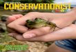 Conservationist NEW YORK STATE...5 There are over 16,800 known species of living amphibians and reptiles around the world. In New York, we have 18 species of salamanders (including