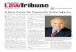 A New Focus On Traumatic Brain Injuries...july 19, 2010 Vol. 36, No. 29 • $10.00 ctlawtribune.com A New Focus On Traumatic Brain Injuries Trial lawyer heads national push for better