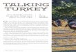 TALKING TURKEY - wildlife.state.nh.us · 4 September / October 2016 C orn stalks whisper in the cool breeze, just before harvest. There’s a smell of fall in the air. A large family