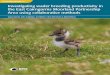 Investigating wader breeding productivity in the East ... · Thiswowrkafiswunkdieby 5. EXECUTIVE SUMMARY. 1. Breeding wader populations have declined significantly in recent decades