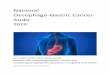National Oesophago-Gastric Cancer Audit · Oesophago-gastric cancer: key findings The 134 NHS organisations in England and Wales providing OG cancer care submitted records on 20,080