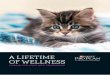 A LIFETIME OF WELLNESS NUTRITION THAT …...many wonderful years with your new pet. A NEW ADVENTURE As the new owner of a cat, you are at the beginning of a great adventure. Get ready