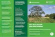 How trees benefit your farm business - GOV UK...ha is available in year 5 following successful establishment Woodland Carbon Code (WCC): • Provides a standard way to measure the