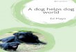 A Dog Helps Dog World - United Diversitylibrary.uniteddiversity.coop/Money_and_Economics/... · 2010-01-26 · 1 See E.O. Wilson and B. Hölldobler, The Superorganism: The Beauty,