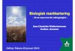 Ann-Charlotte Wallenhammar Anders Jonsson · Presentation av TEMA-program BioSoM. Angrepp av klumprotsjuka i h östraps 2006. Mycel/ sklerotier 2-4 på växtrester ... Klass 2 (10