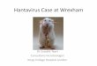 Hantavirus Case at Wrexham - NHS Wales Case at... · 2015-10-27 · January 2013 hantavirus titre 1:1000 and 1:10000 • The second owner had a low titre IgG titre of 1:100 in samples