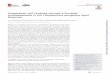 Cooperation and Cheating through a Secreted Aminopeptidase in the Pseudomonas ... · Cooperation and Cheating through a Secreted Aminopeptidase in the Pseudomonas aeruginosa RpoS