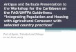 Antigua and Barbuda Presentation to the Workshop for the ... · Antigua and Barbuda Presentation to the Workshop for the Caribbean on ... Port of Spain, Trinidad Port of Spain, Trinidad