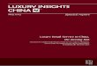 LUXURY INSIGHTS CHINA TM - fdkginsight.com · This report summarises the findings of the first ever, independent multi-brand luxury store audit carried out in Shanghai across the