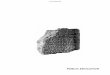 oi.uchicagooi.uchicago.edu/sites/oi.uchicago.edu/files/uploads/shared/docs/10_11_Public...Overleaf: Fragment of a Hittite tablet. OIM A6004. Clay. Hattusa. Ca. 7.0 x 8.6 cm. After