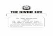 THE DIVINE LIFEsivanandaonline.org/public_html/admin/media/pdf/2015/FEB...THE DIVINE LIFE KATHOPANISHAD CHAPTER II VALLI iii `{XX {H$#m OJËgdª àmU EO{V {Z…g¥V_² Ÿ& _hØ` dO«_wÚV