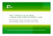 HOT TOPICS IN GLOBAL LABOR AND EMPLOYMENT LAWfiles.dlapiper.com/files/Uploads/Documents/Global... · 2017-12-14 · HOT TOPICS IN GLOBAL LABOR AND EMPLOYMENT LAW ... Global redundancies,