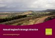 Natural England’s Strategic Direction - GOV UK · This Strategic Direction sets out our updated vision of how Natural England will help to bring about a natural environment, on