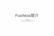 FuchsiaFuchsia解决现代OS痛点 • 原进程沙箱，解决应安全和分发问题（客） • Linux: namespace, control group, unionfs => docker • 稳定的驱动接，硬件商可独维护硬件驱动（硬件）