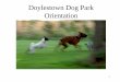 Doylestown Dog Park Orientation · Ganging up on smaller, weaker dogs. ... • Owners not stepping in when needed – or absent. As well as owners constantly micromanaging when they